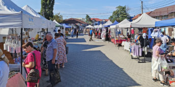 Expo-târg universal de vară la Fălești