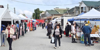 Târg de toamnă la Fălești, ediția a V-a